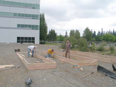 Building First Beds