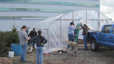 Greenhouse 1 Build