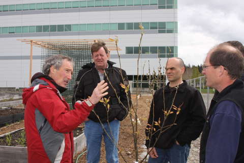 Gardening with Ciscoe