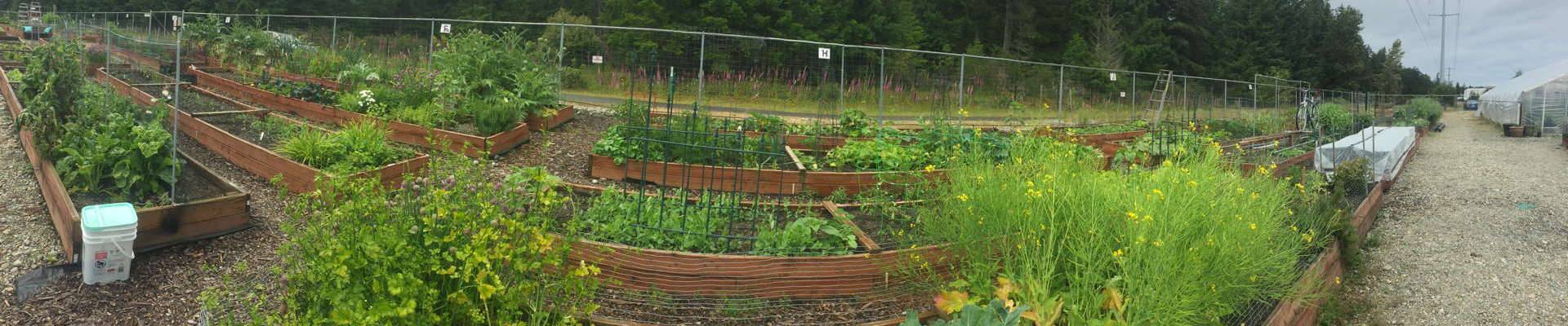 DuPont Community Garden